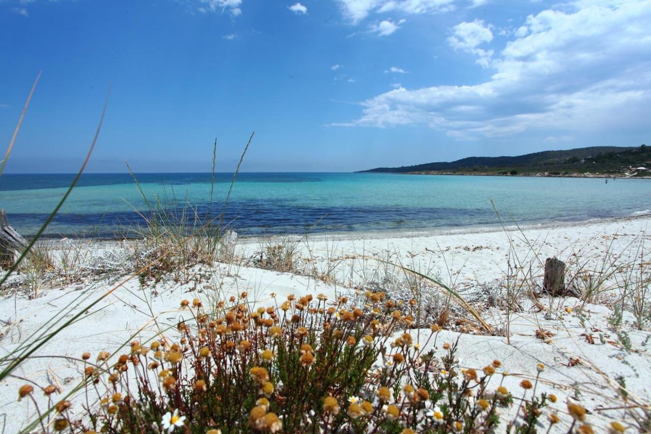 Maestrale Bflat - Klodge * Olbia